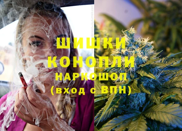 ешки Няндома