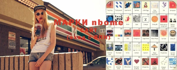 ешки Няндома