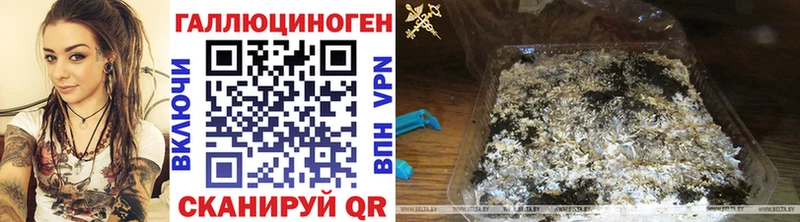 Псилоцибиновые грибы MAGIC MUSHROOMS  как найти закладки  Северская 